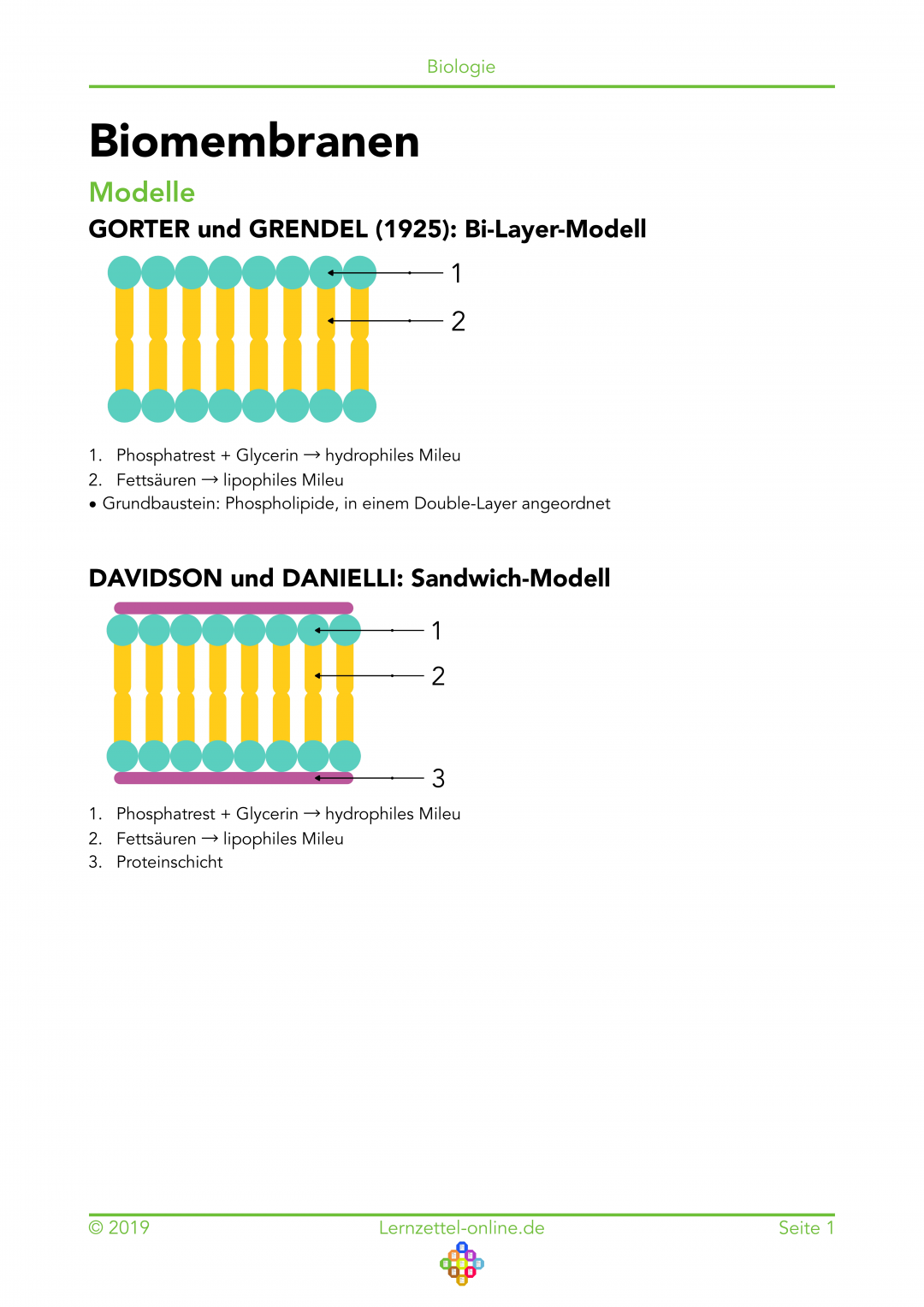 Lernzettel Biomembranen Seite 1