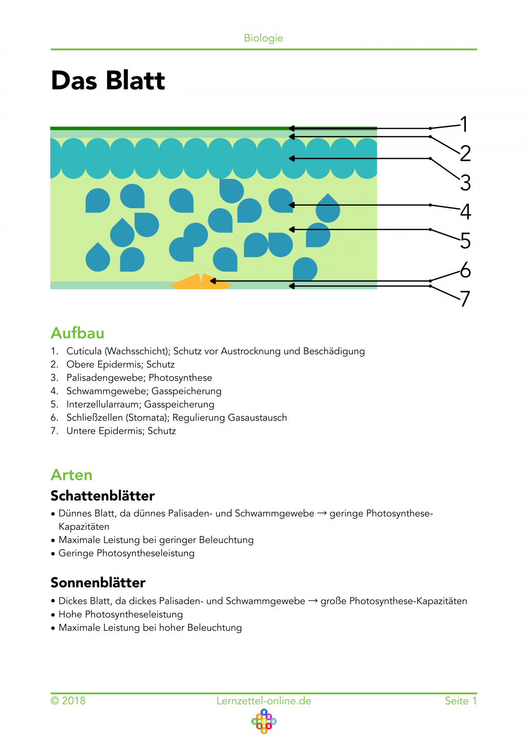 Lernzettel Blatt Seite 1